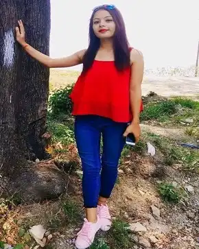 noth indian escorts udaipur